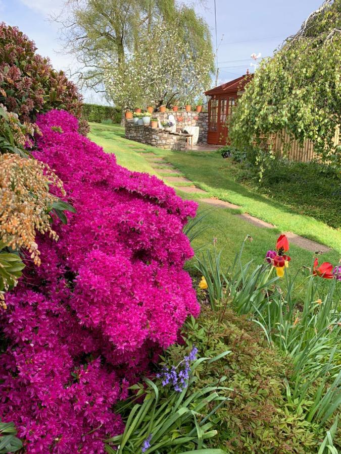 Llanwenarth Cottage A Beautiful Place To Just Be. Abergavenny Eksteriør billede