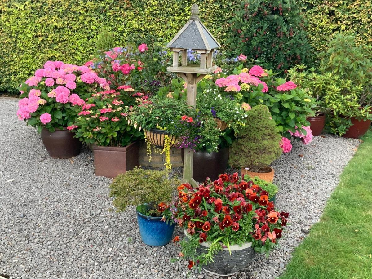 Llanwenarth Cottage A Beautiful Place To Just Be. Abergavenny Eksteriør billede