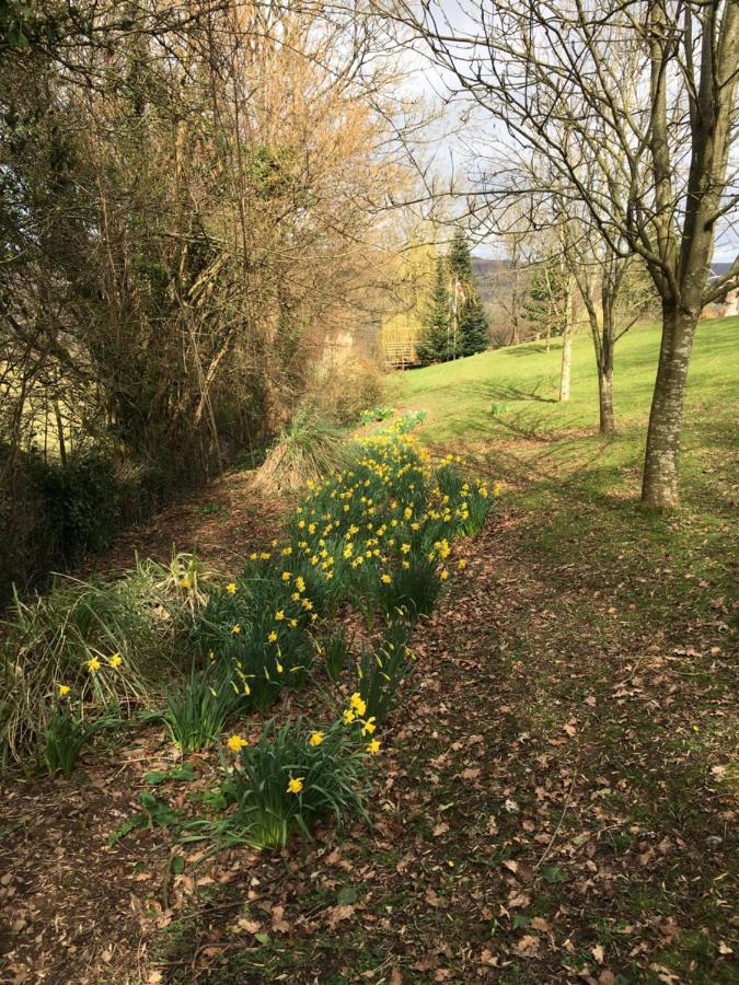 Llanwenarth Cottage A Beautiful Place To Just Be. Abergavenny Eksteriør billede