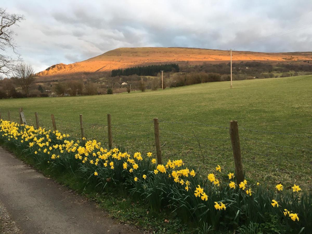 Llanwenarth Cottage A Beautiful Place To Just Be. Abergavenny Eksteriør billede