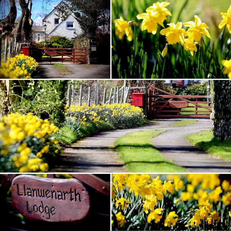 Llanwenarth Cottage A Beautiful Place To Just Be. Abergavenny Eksteriør billede